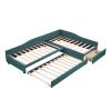 Upholstered Double Twin Size Daybed with Trundle and Drawer