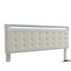 Queen Size Floating Bed Frame with LED Lights and USB Charging,Modern Upholstered Platform LED Bed Frame